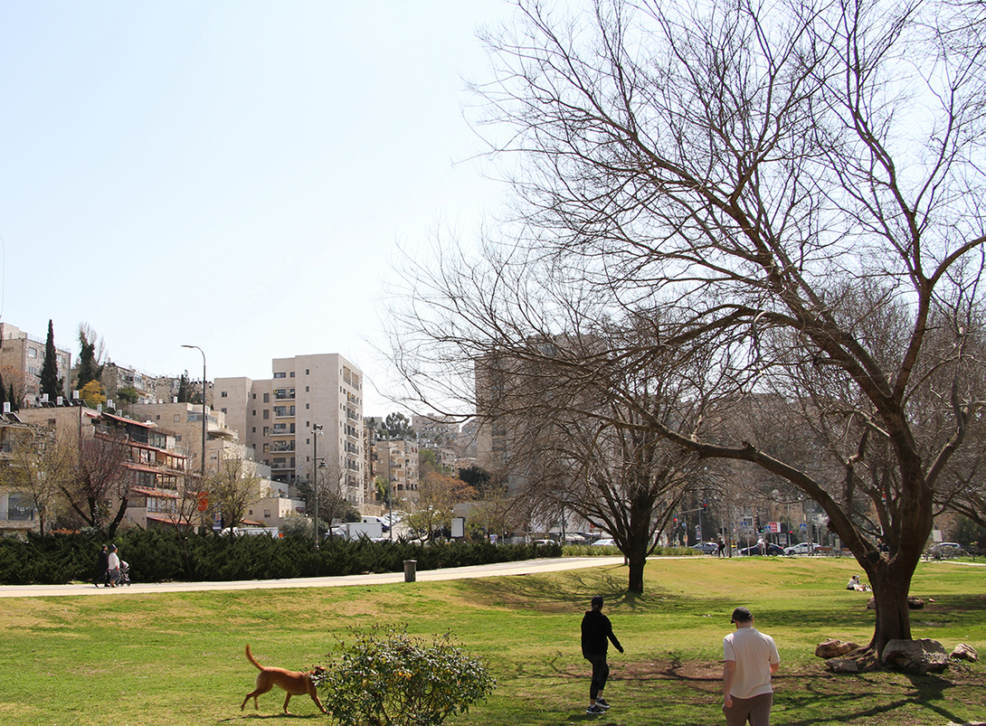 אלה זילברמן אדריכלית